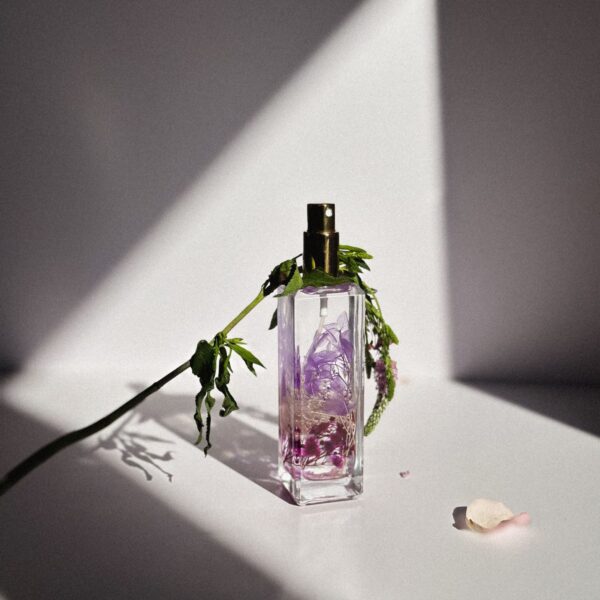 Koku Mumu — Vanilya – Caterina Parfume parfüm görseli